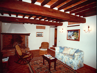 The living room with fireplace