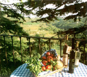 Our products