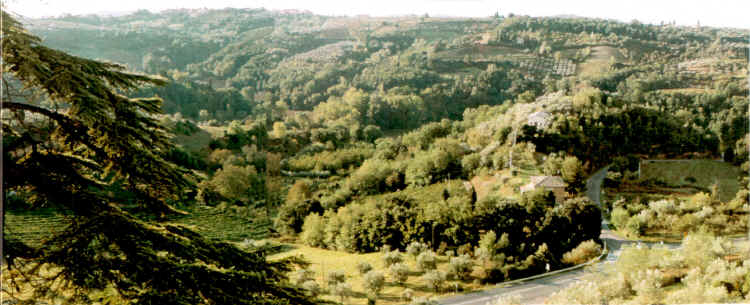 View from the apartments